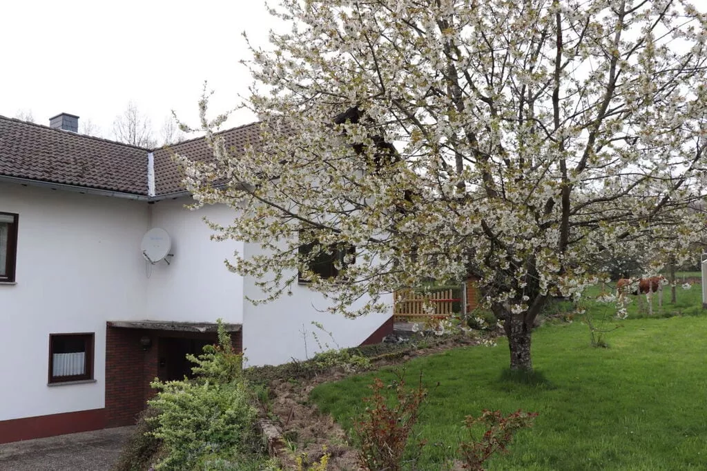 330959-View