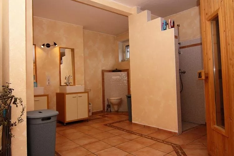 Ferienhaus in Neukirchen 11 P-Bathroom
