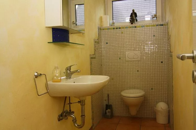 Ferienhaus in Neukirchen 11 P-Bathroom