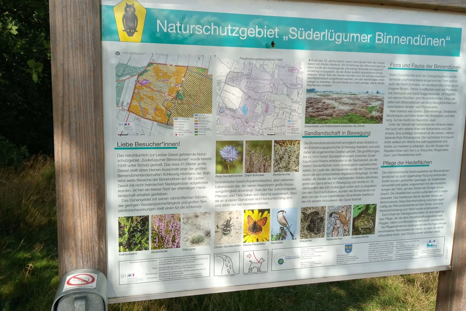 Ferienhaus in Neukirchen 11 P-Areas summer 20km