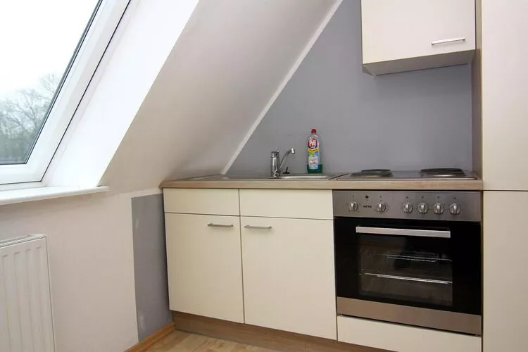 Ferienhaus in Neukirchen 12 P-Kitchen
