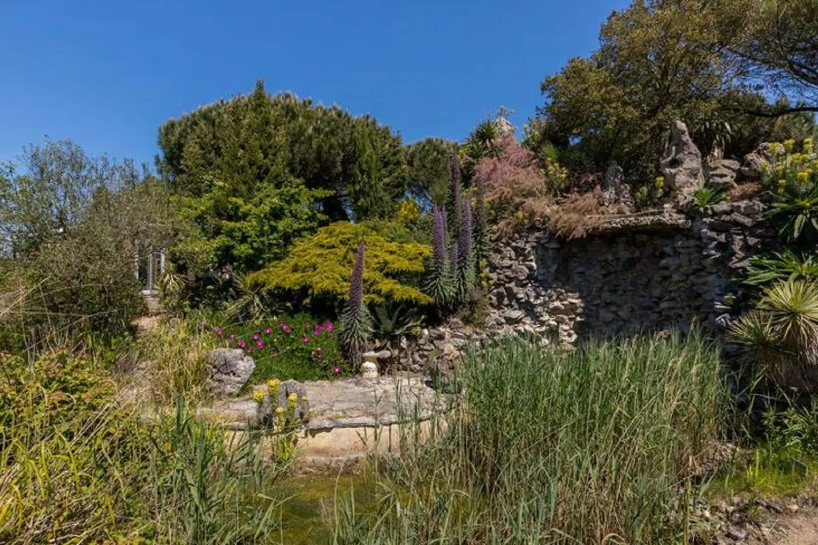 Fort den Haak - Chalet 1 t/m 10 huisdiervrij-Gardens summer