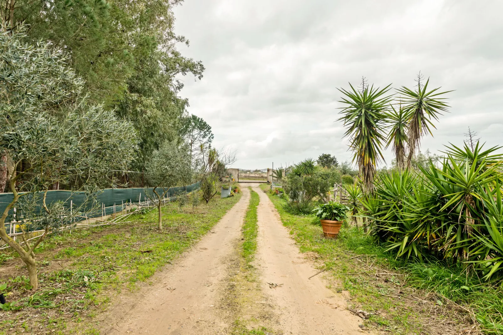 Villa Manca-Areas summer 1km