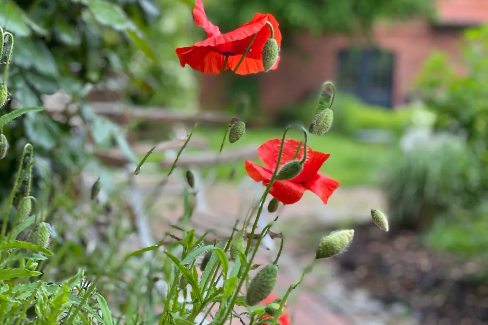 Moderne Ferienwohnung 3-Gardens summer