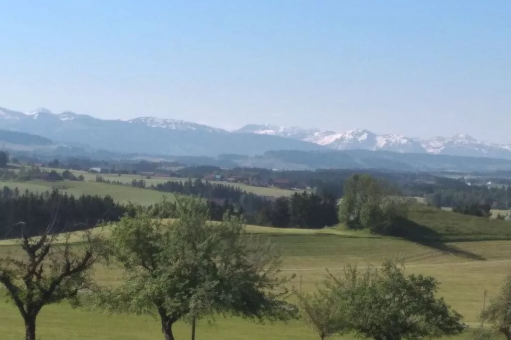 345885-View