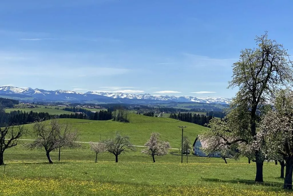 345885-View
