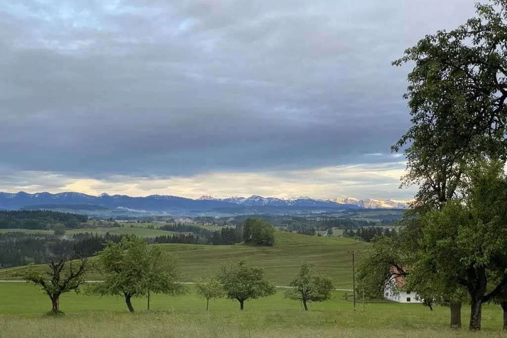 345885-View