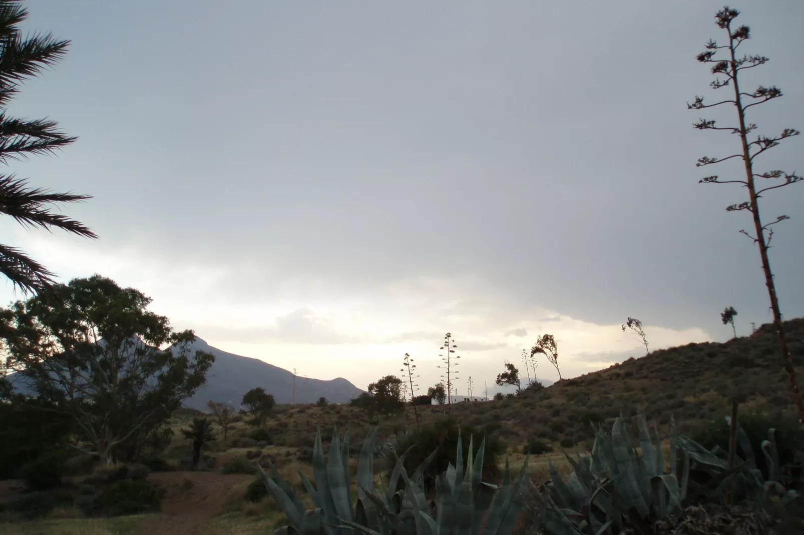 Apartamento pasito Blanco-Atmosphere