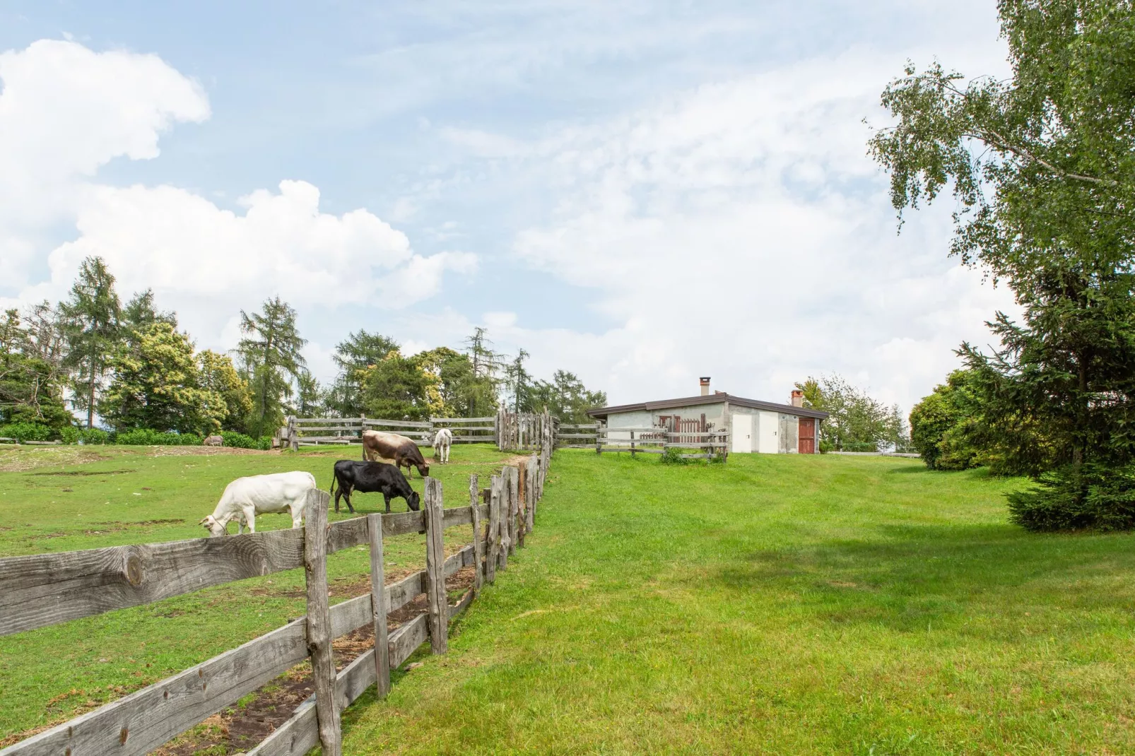 Ginestra-Park facilities