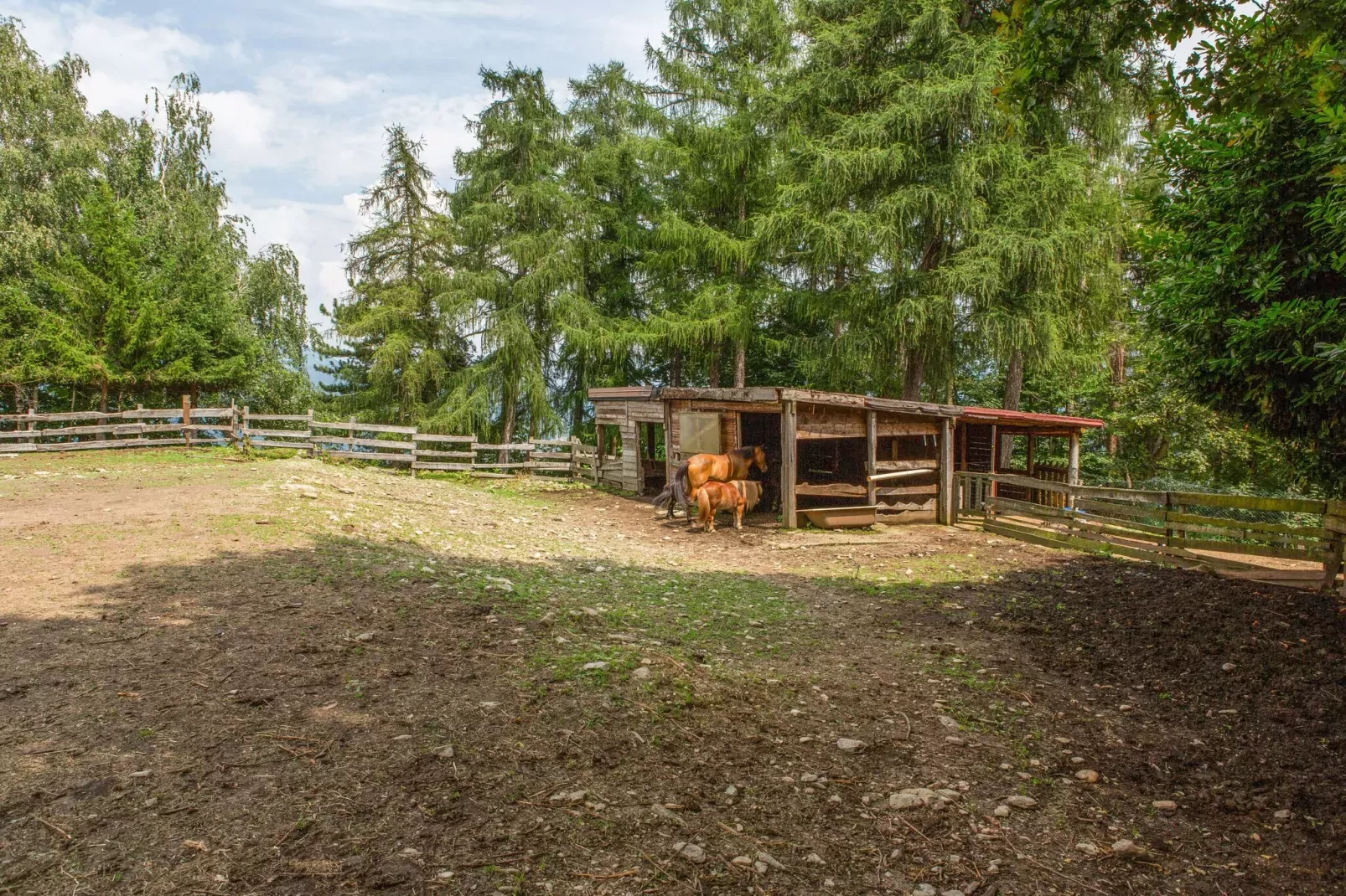 Ginestra-Park facilities