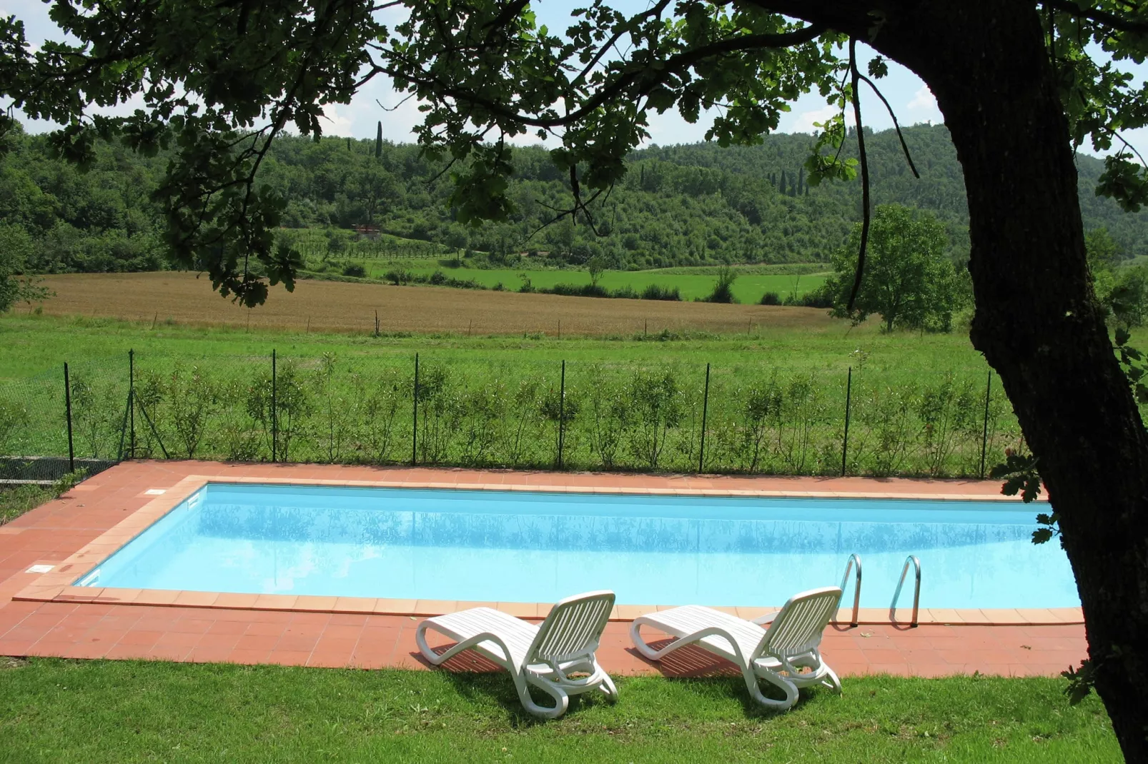 Villa Barono-Pool