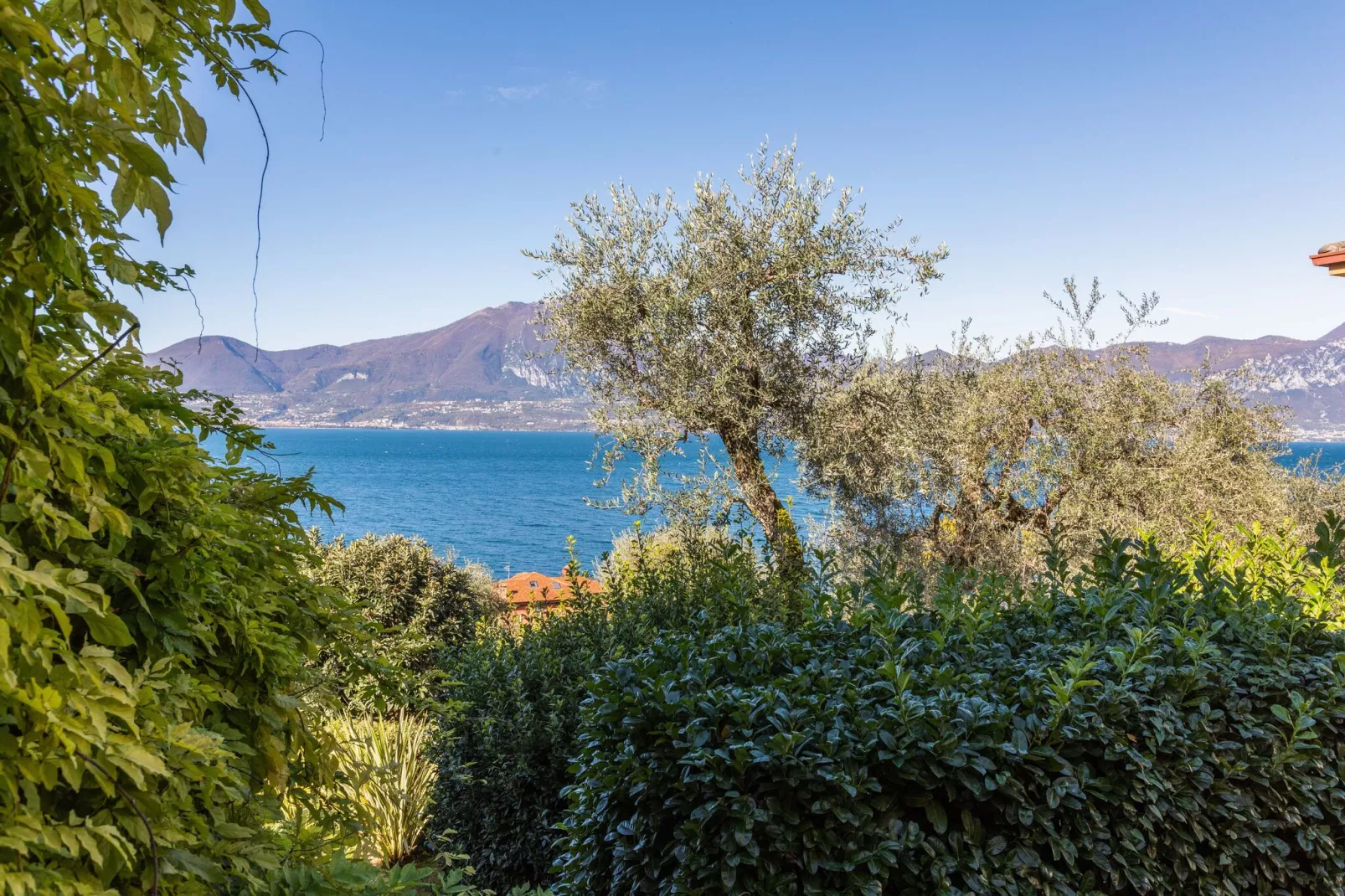 Villa Vista Lago-Vue d'été