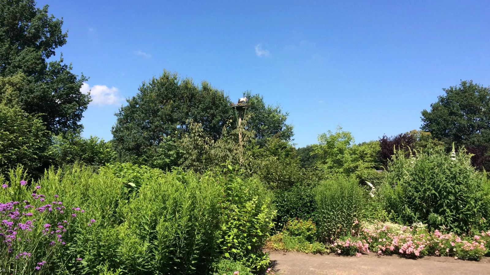 Vrijzicht-Garten Sommer