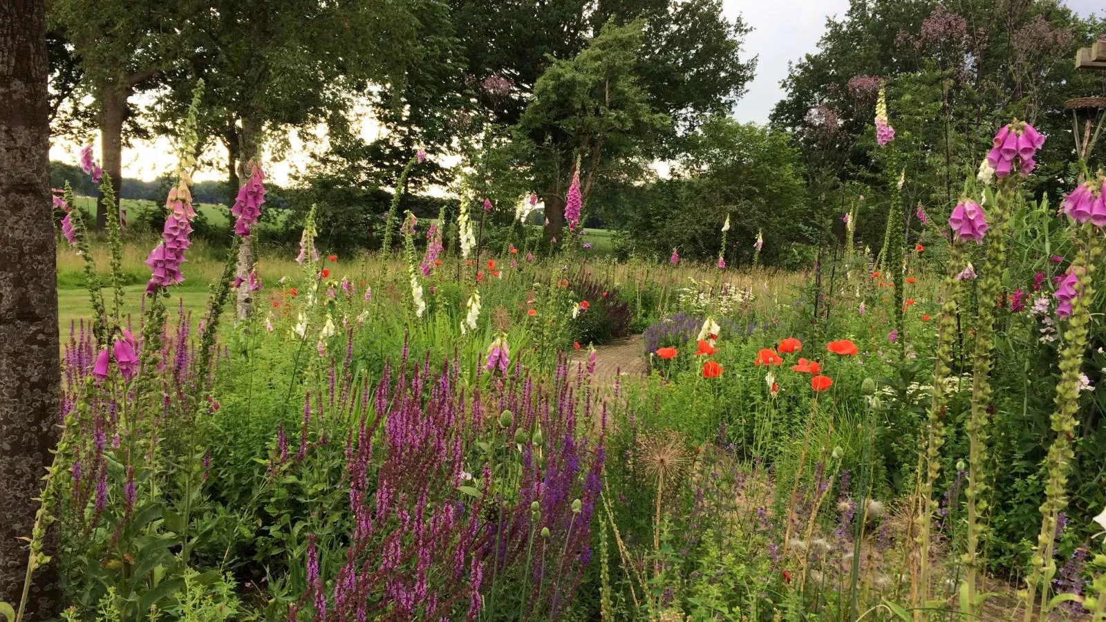 Vrijzicht-Garten Sommer