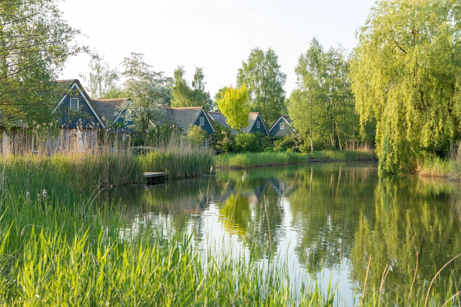 Résidence de Weerribben 1-Park facilities