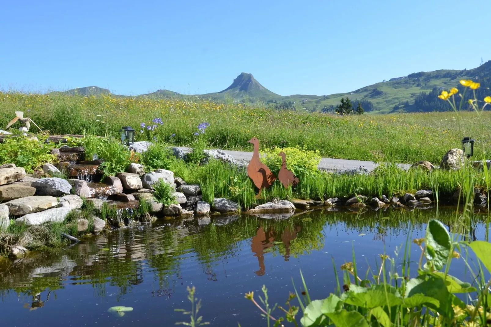 Schönblick 1-Areas summer 5km