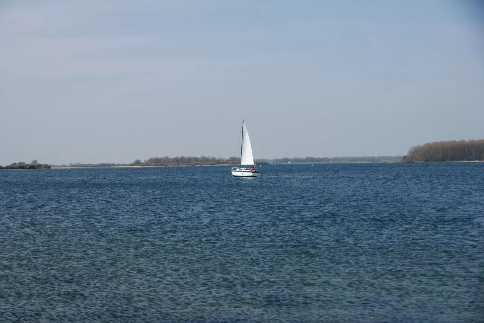 De Watervogel-Areas summer 1km