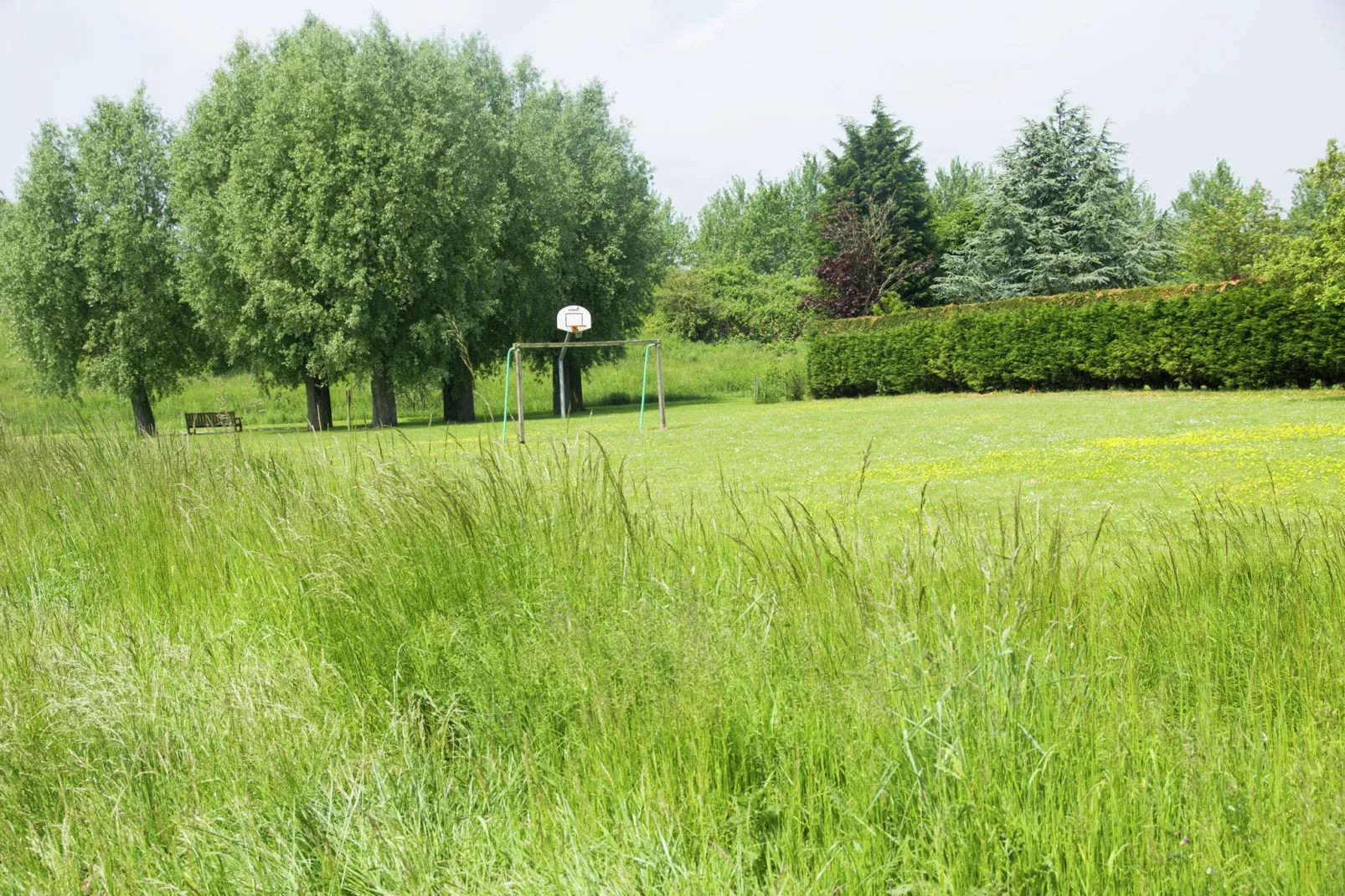 De Watervogel-Areas summer 1km