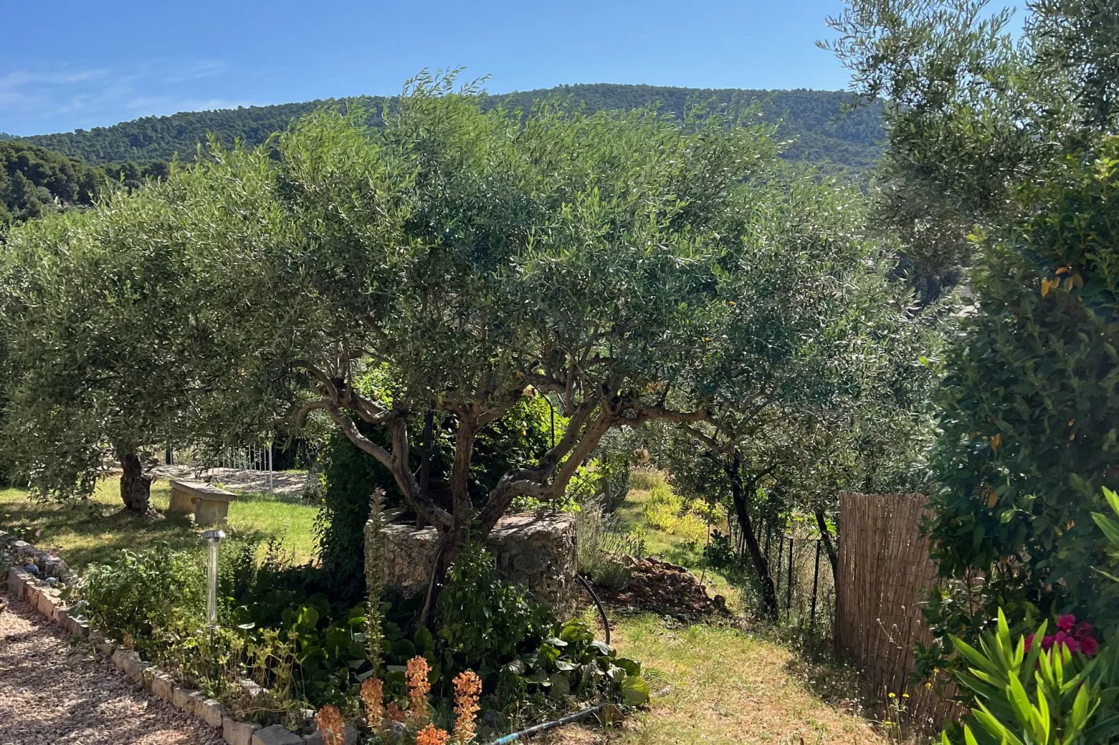 Villa Brancassi-Gärten Sommer