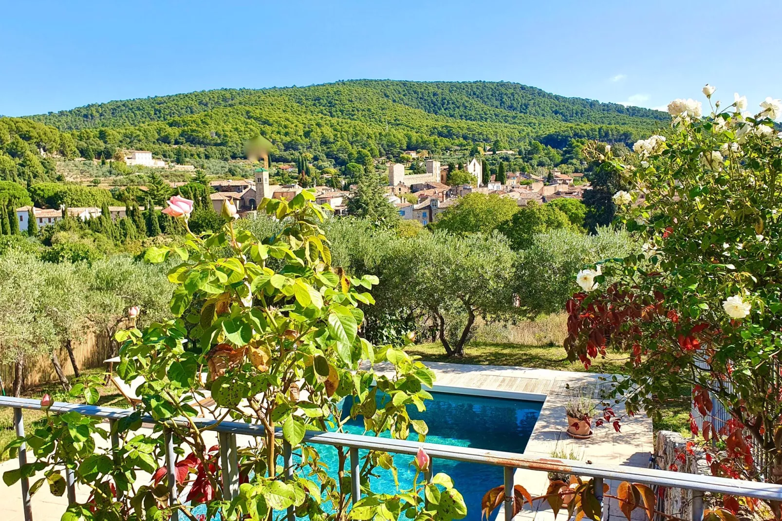 Villa Brancassi-Aussicht Sommer
