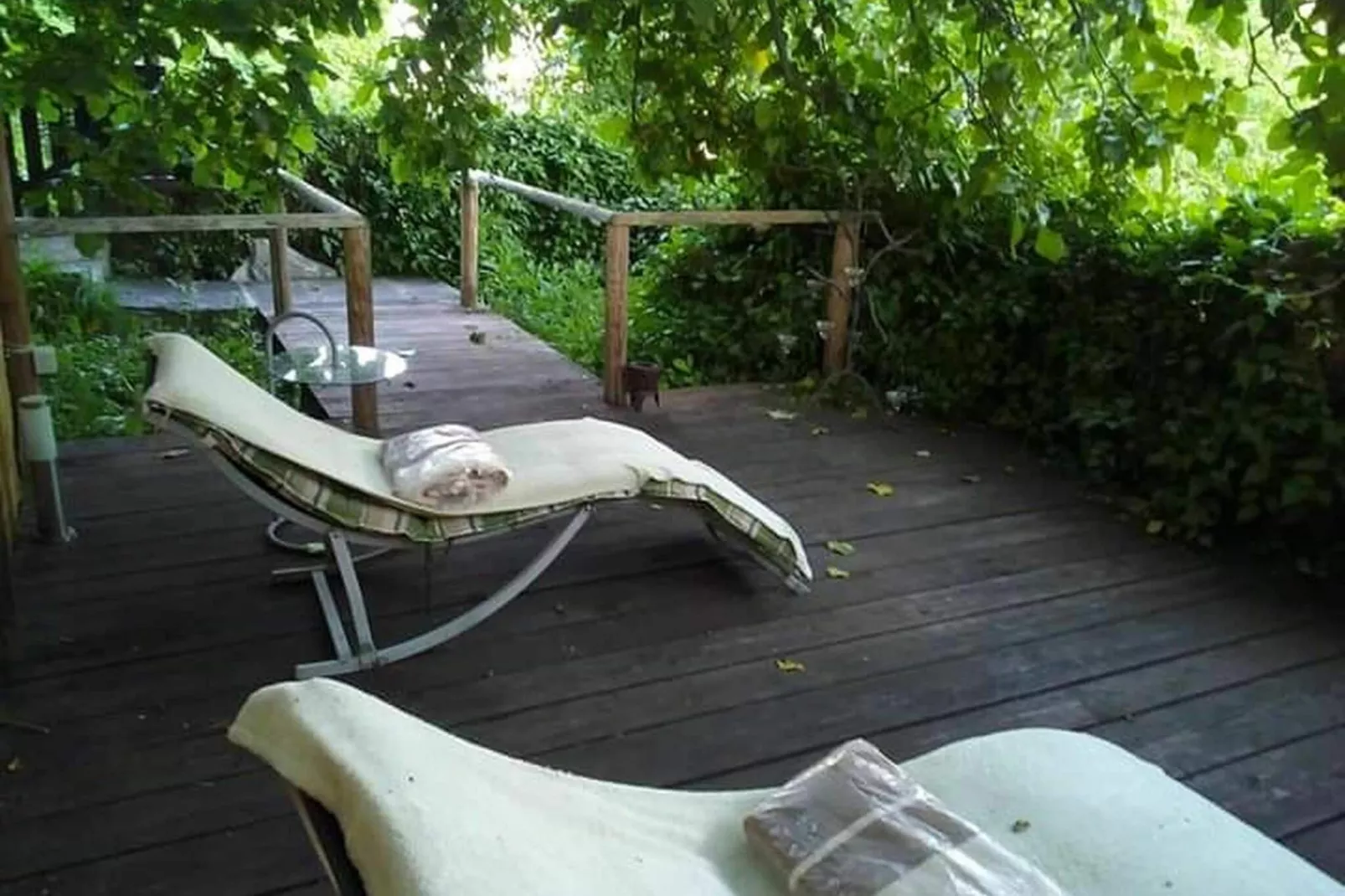 La Dimora-Gardens summer
