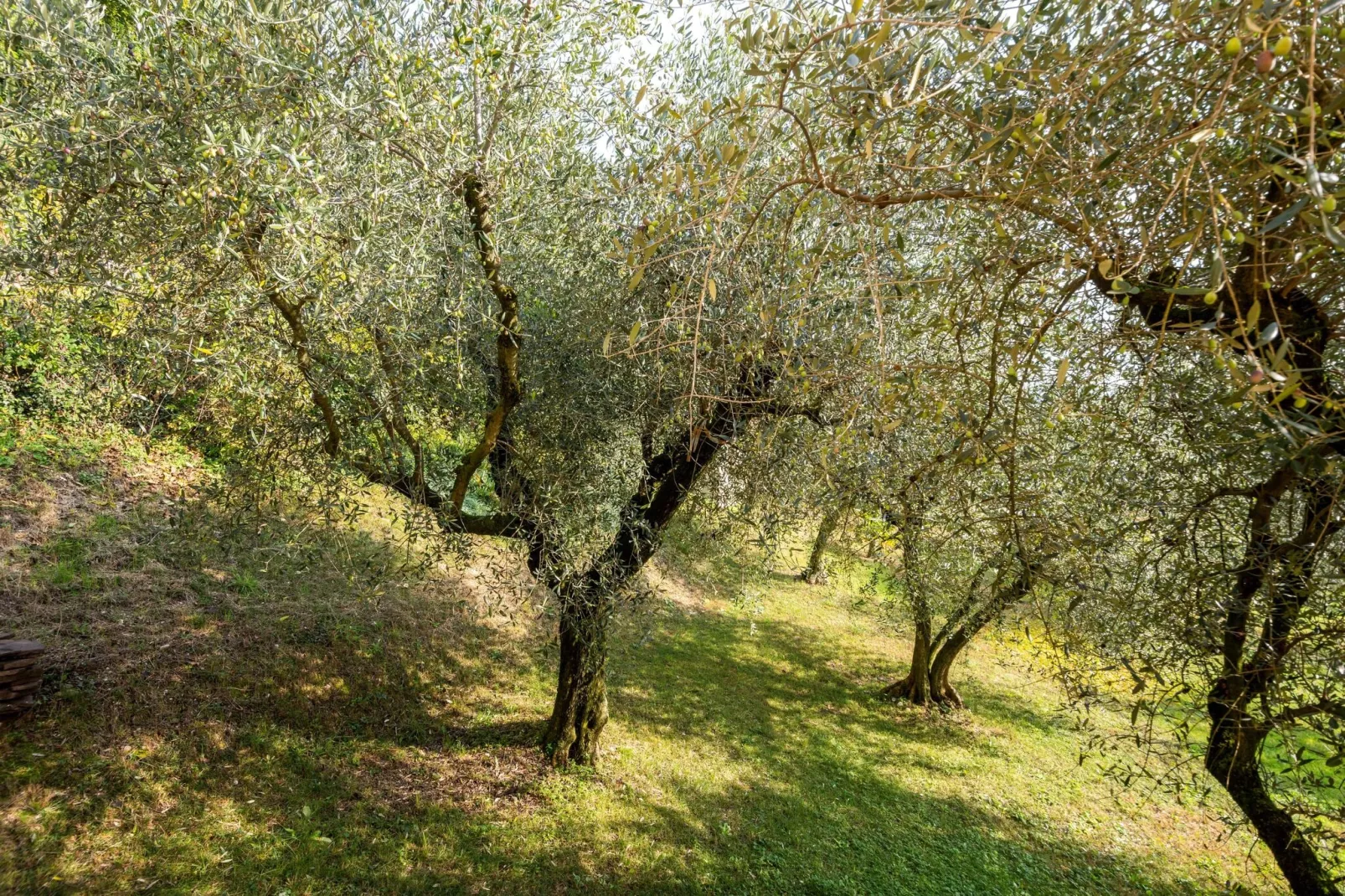 Villa Pozzol-View summer