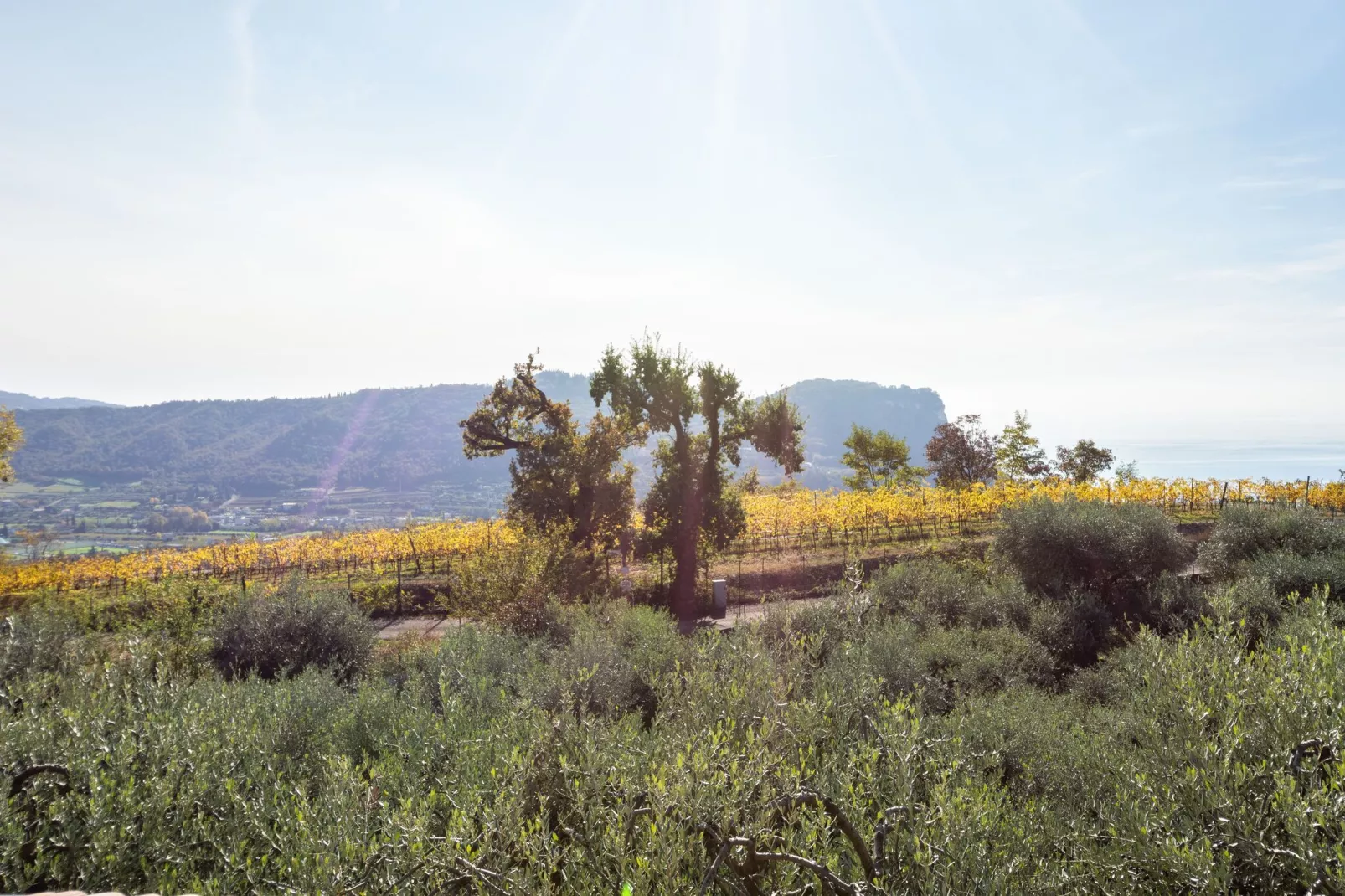 Villa Pozzol-View summer
