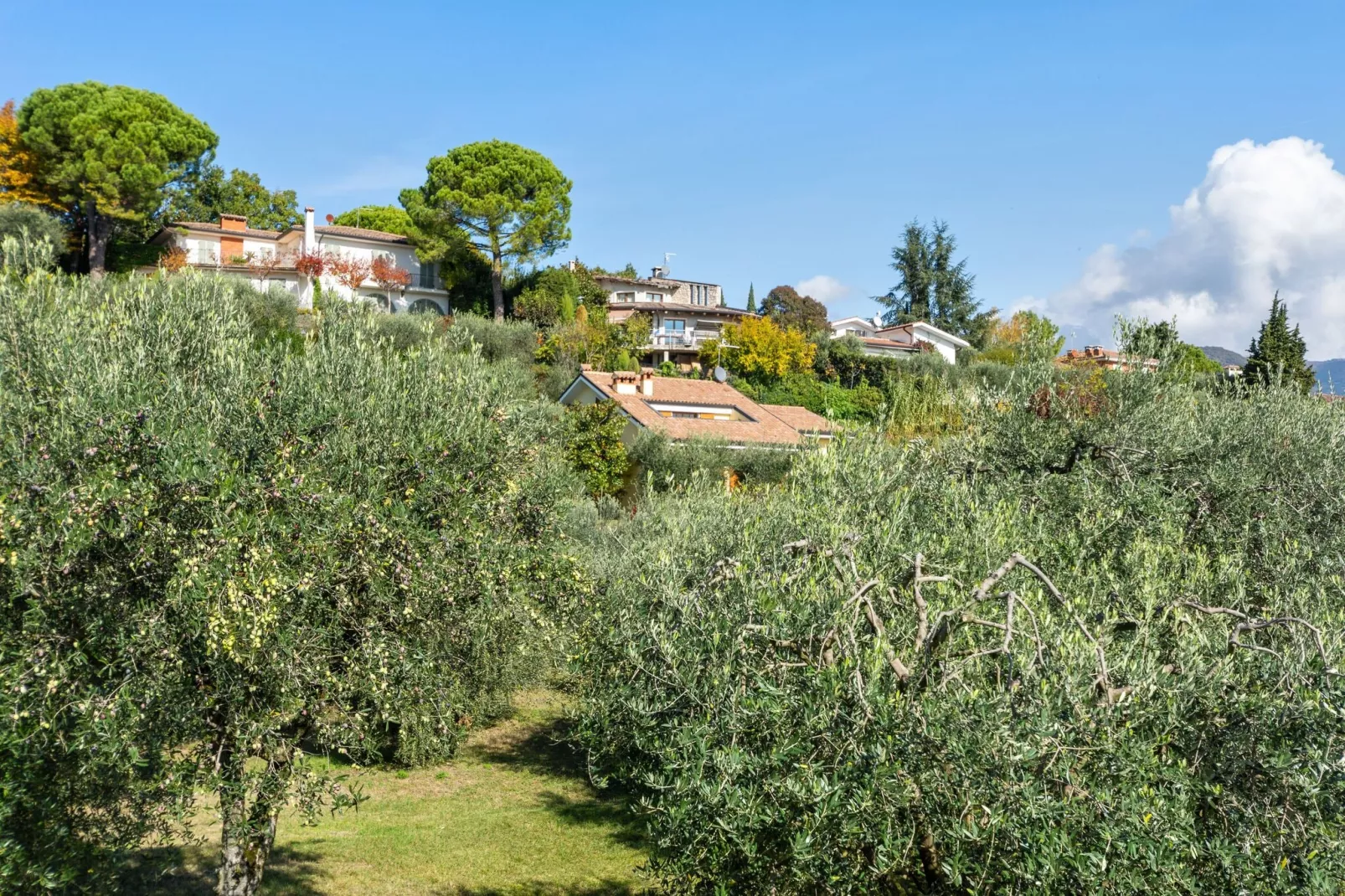 Villa Pozzol-Areas summer 5km