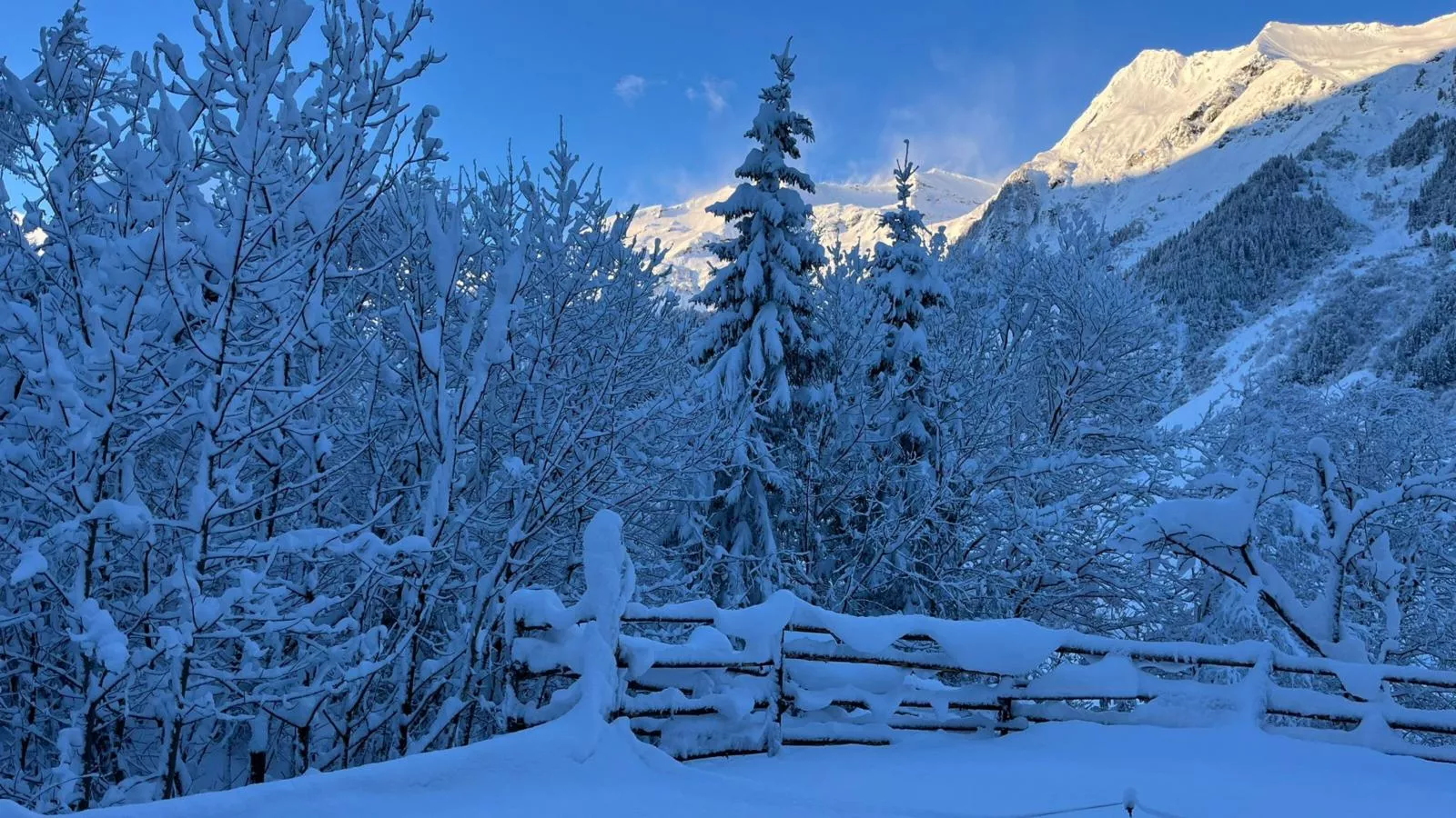 Barney-View winter