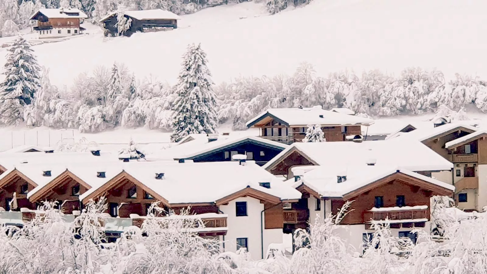 Felsener Wald-Exterior winter