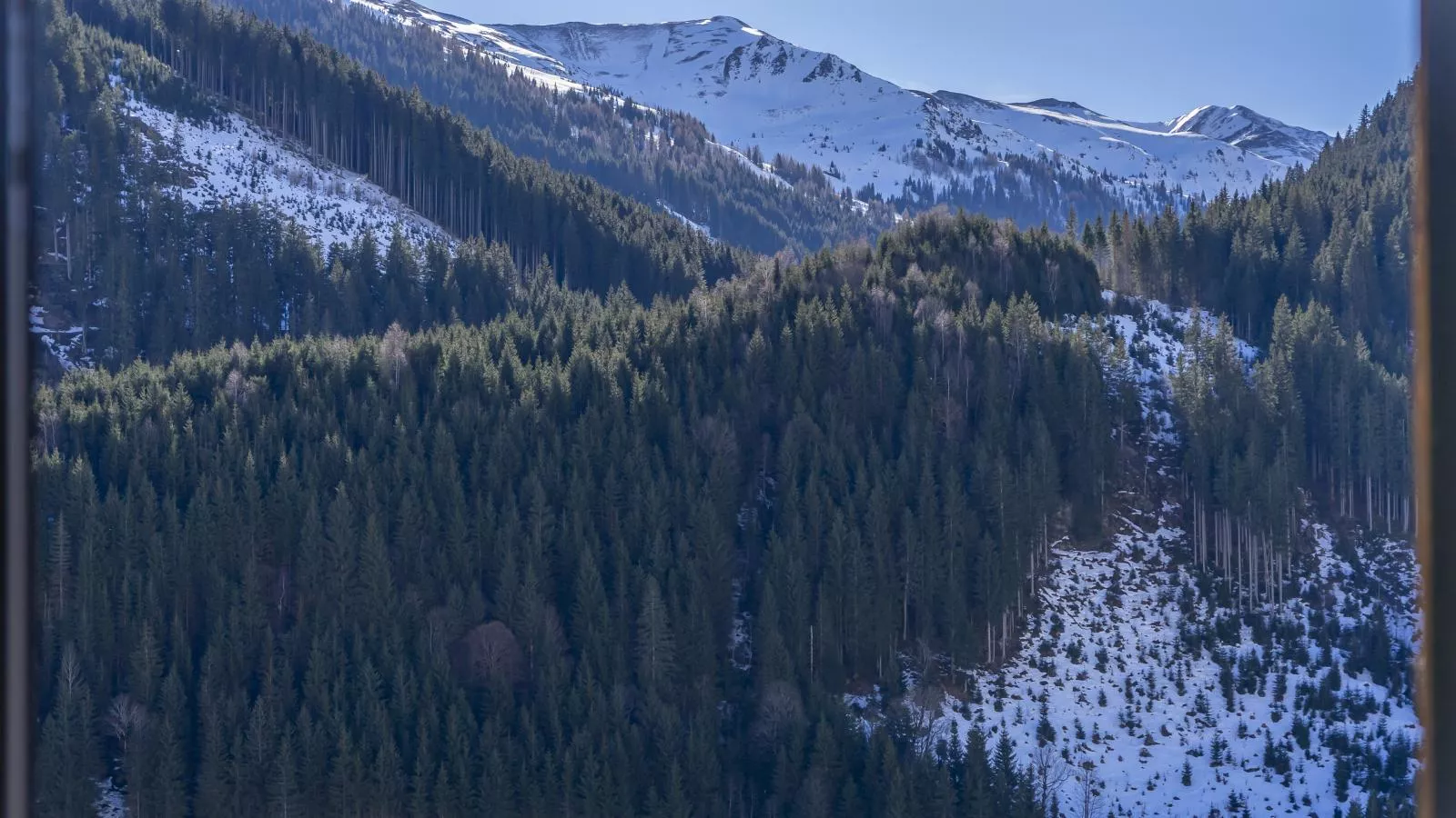 Haus am Hang-View