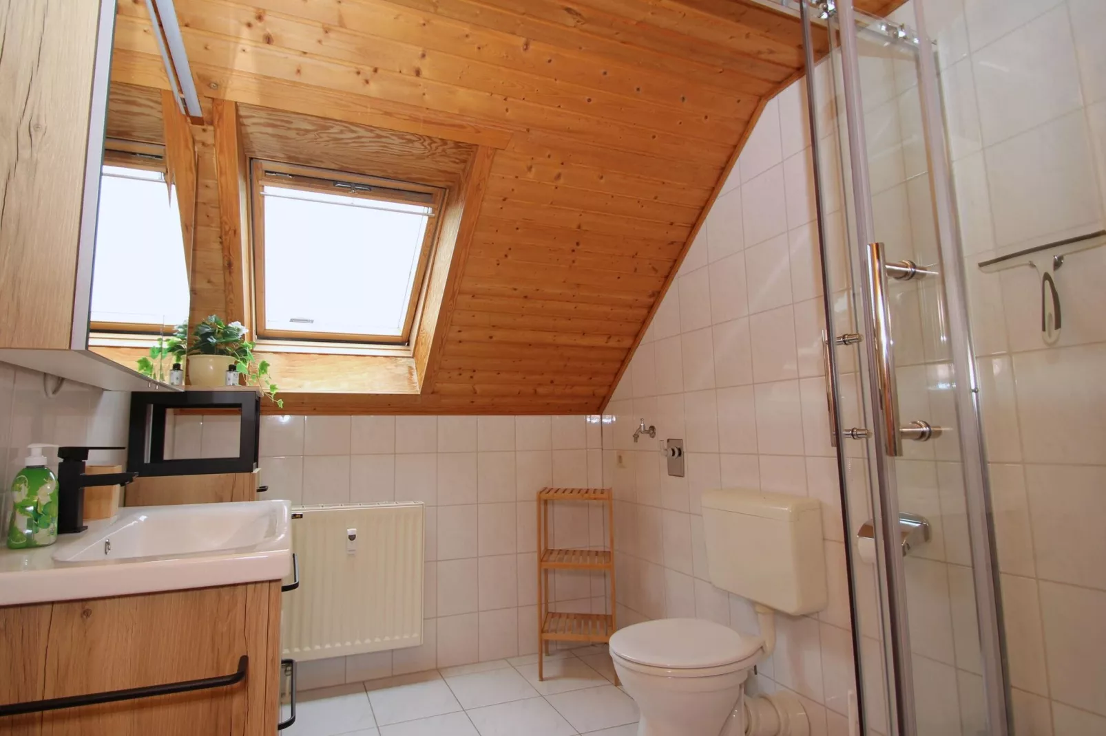 Ferienhaus in Hasselfelde - Haus 10 Blauvogel-Bathroom