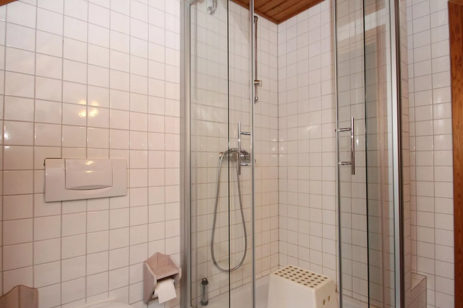 Ferienhaus in Hasselfelde - Haus 48 Blauvogel-Badezimmer