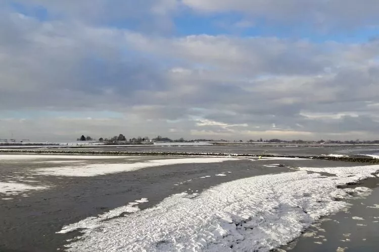 Haus Amalie-Area winter 1km