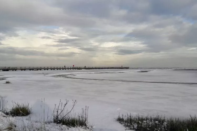 Haus Amalie-Area winter 1km