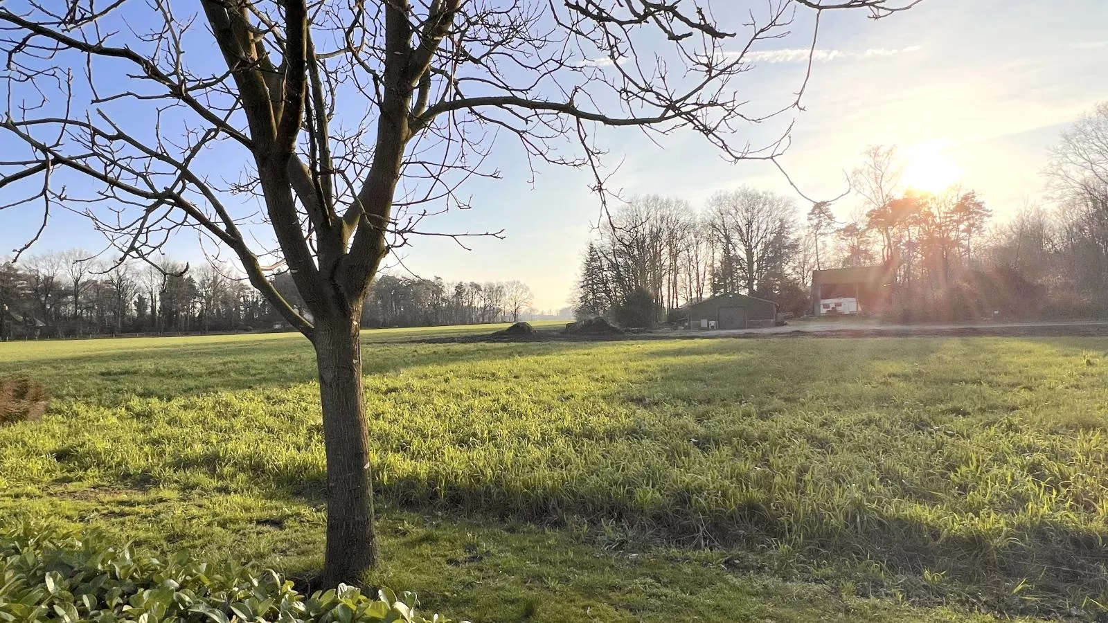 Achter de Vijf Linden-View summer