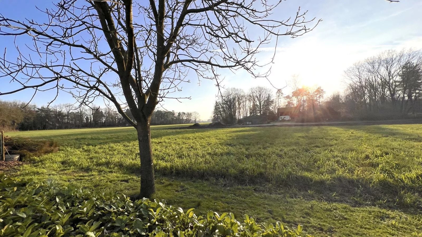 Achter de Vijf Linden-View summer