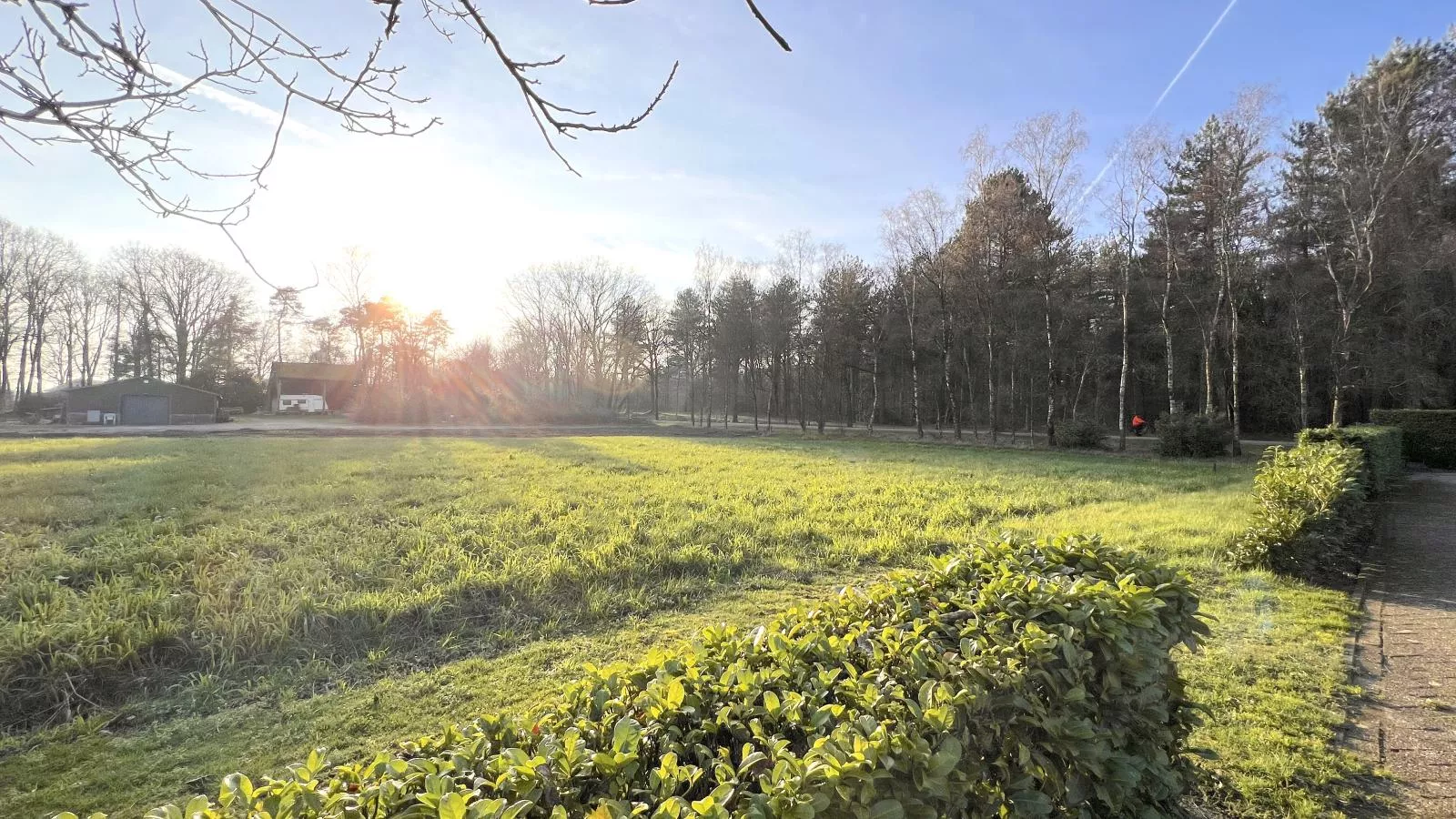 Achter de Vijf Linden-View summer