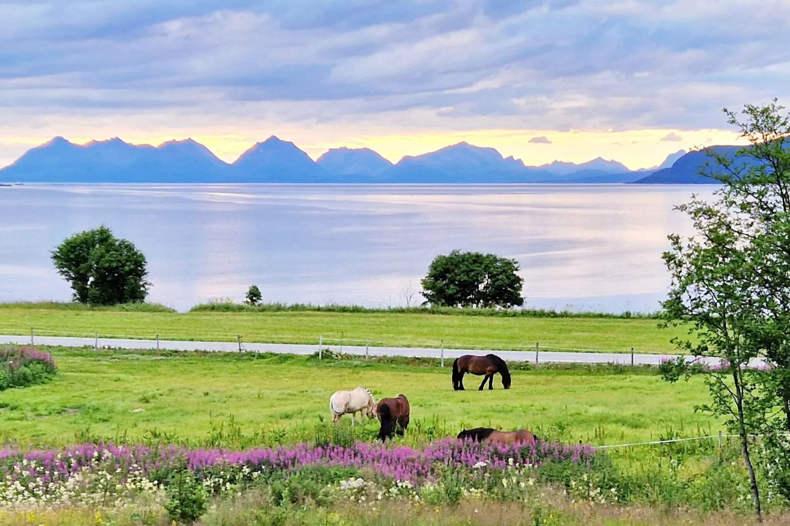 6 person holiday home in Hamnvik-Not tagged