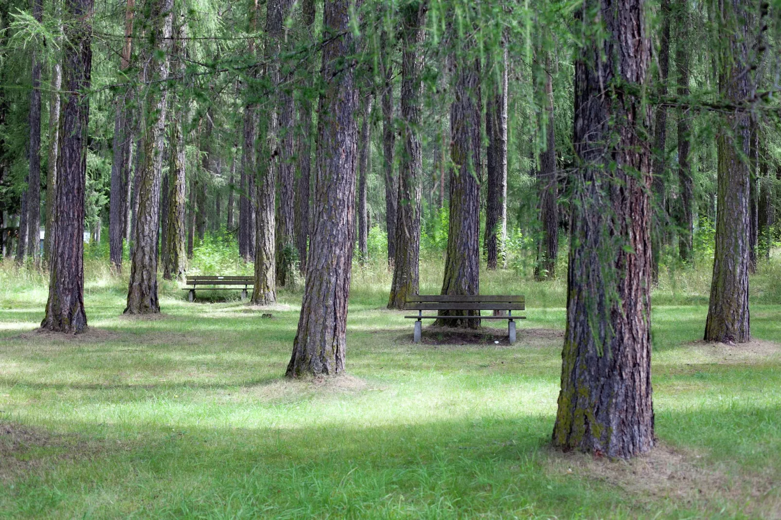 Wilhelmshof-Areas summer 1km
