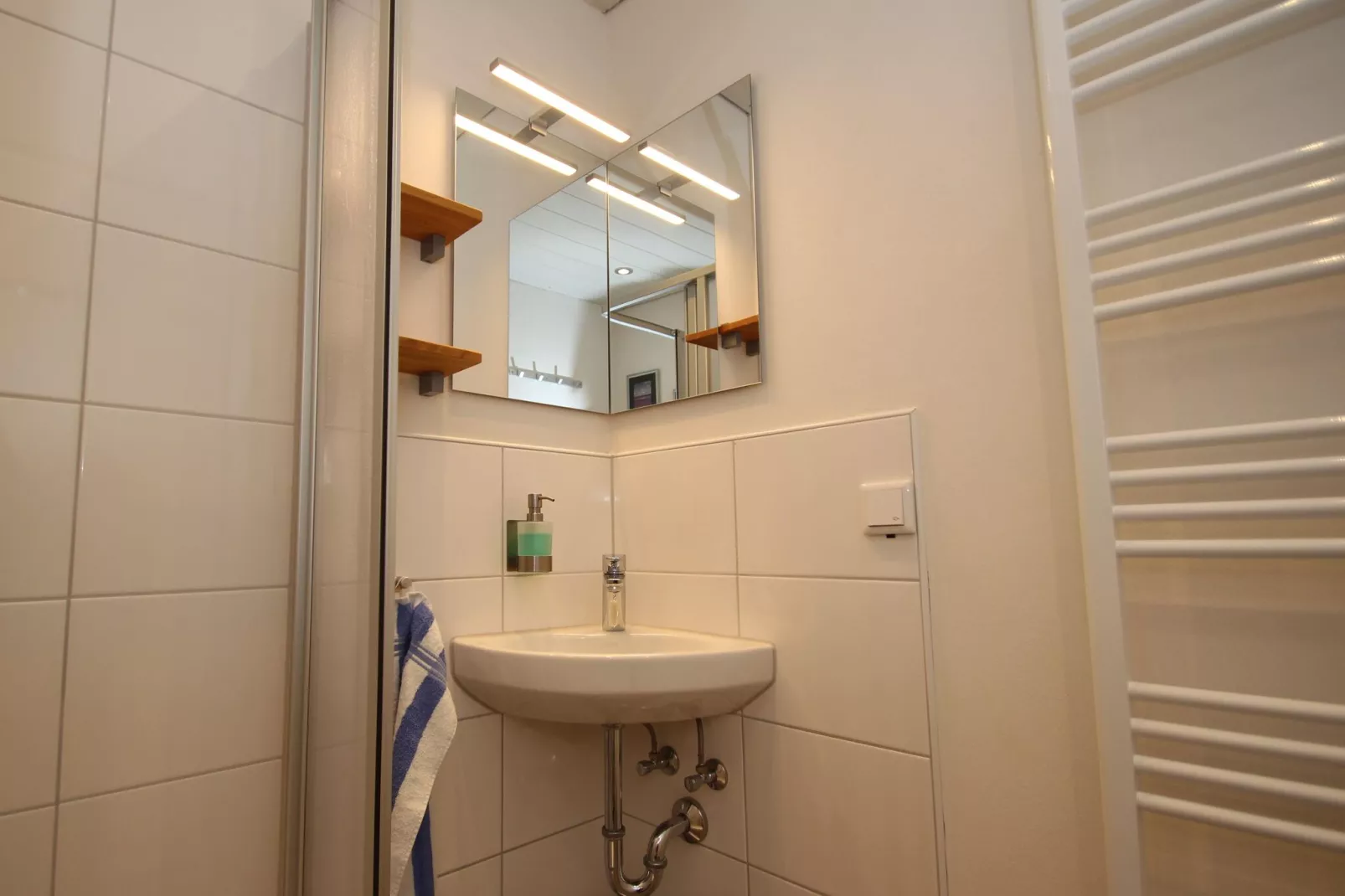 Doppelhaushälfte Anna-Bathroom