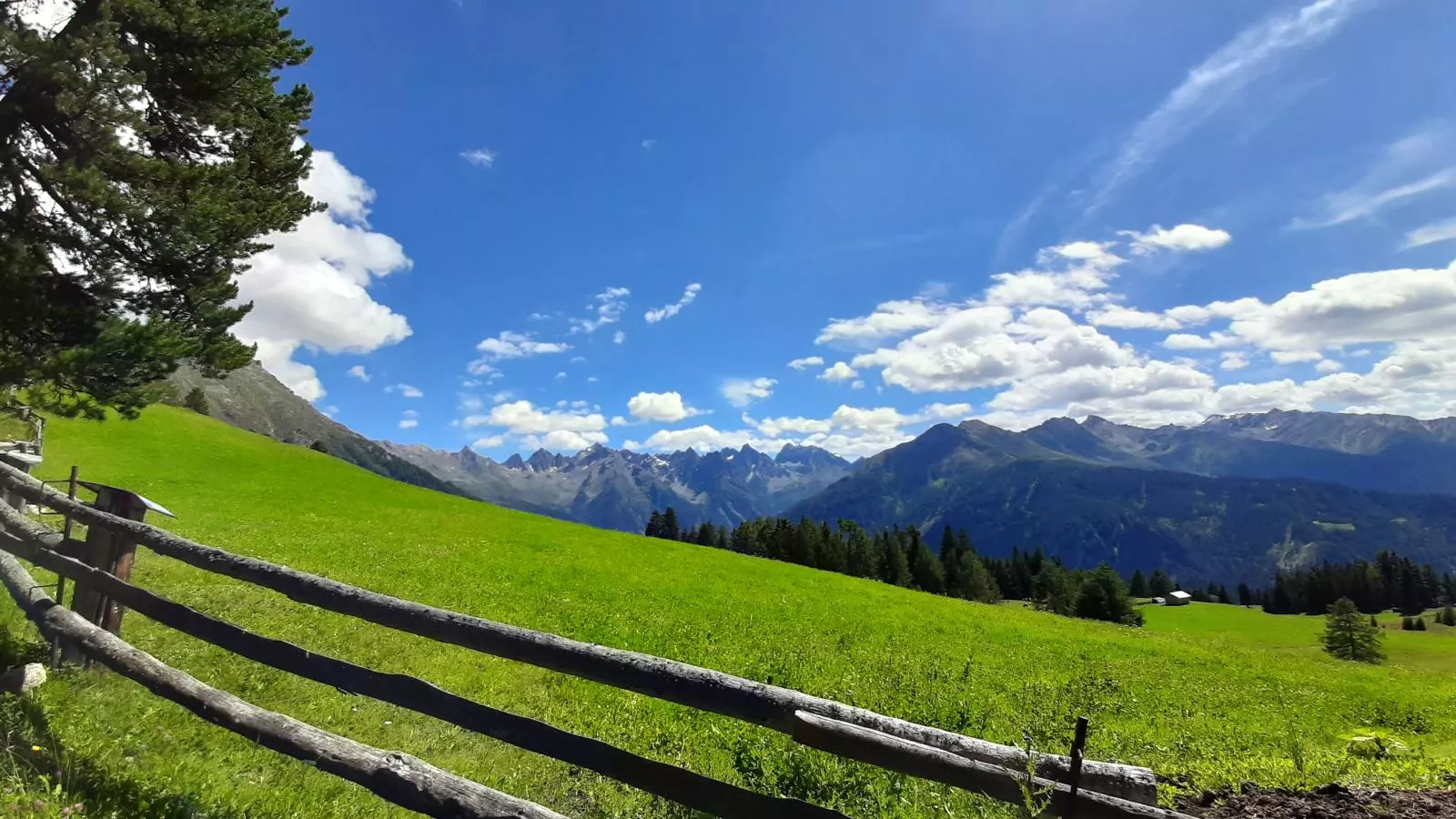 Mohr-Areas summer 1km