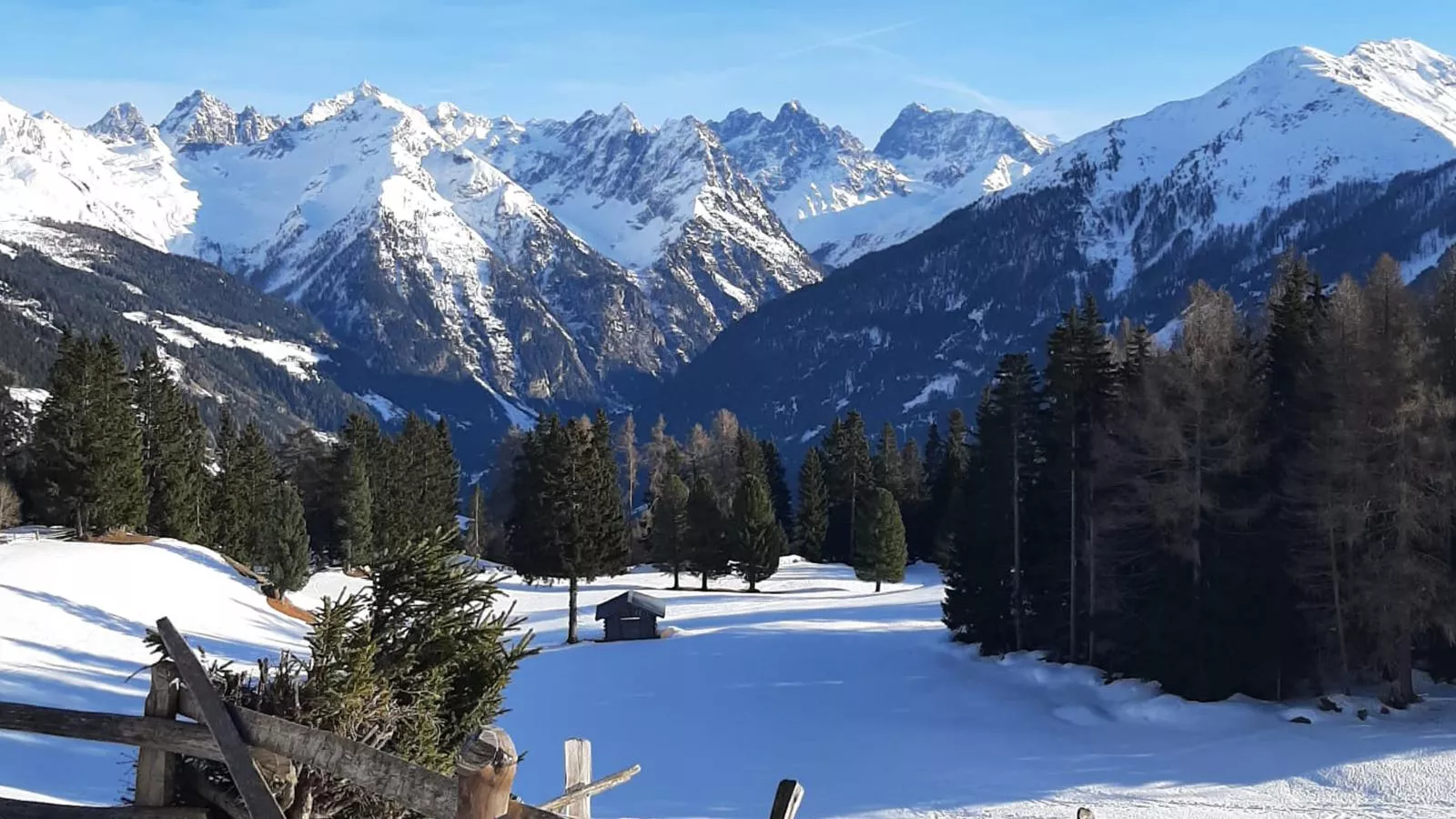 Mohr-Area winter 1km