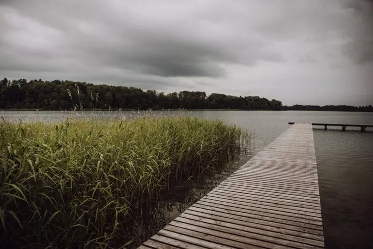 Apartament Zielony Gronowo-Areas summer 5km