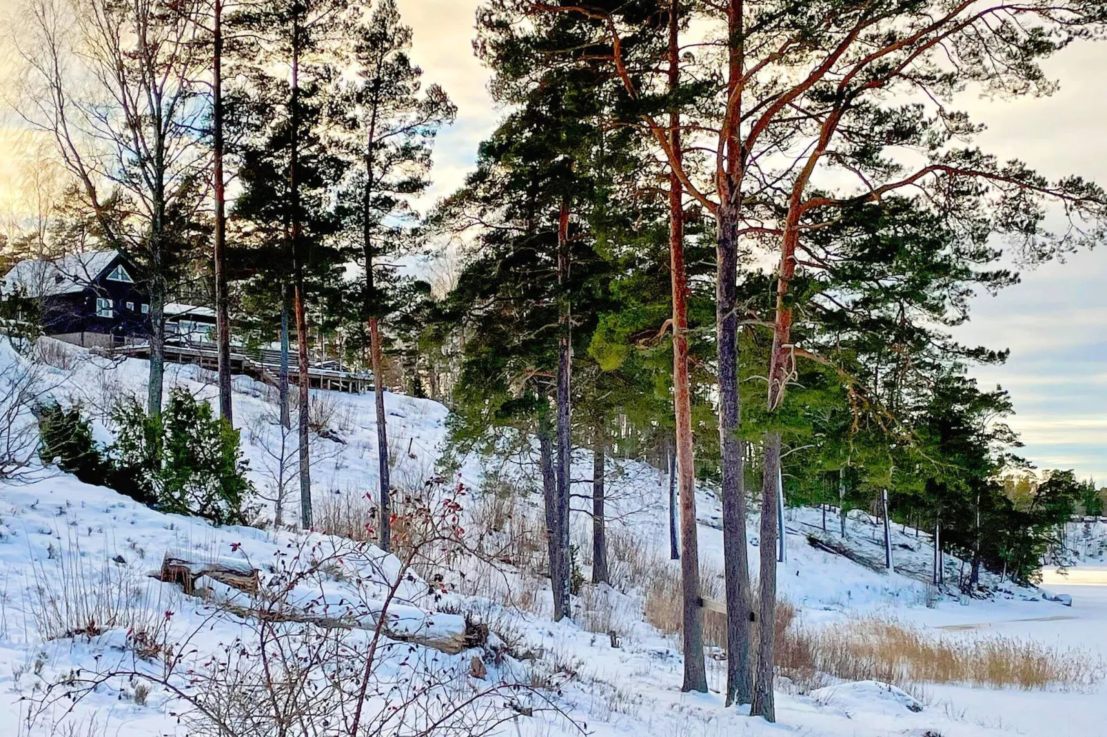 5 Sterne Ferienhaus in NORRTÄLJE-Außenbereich