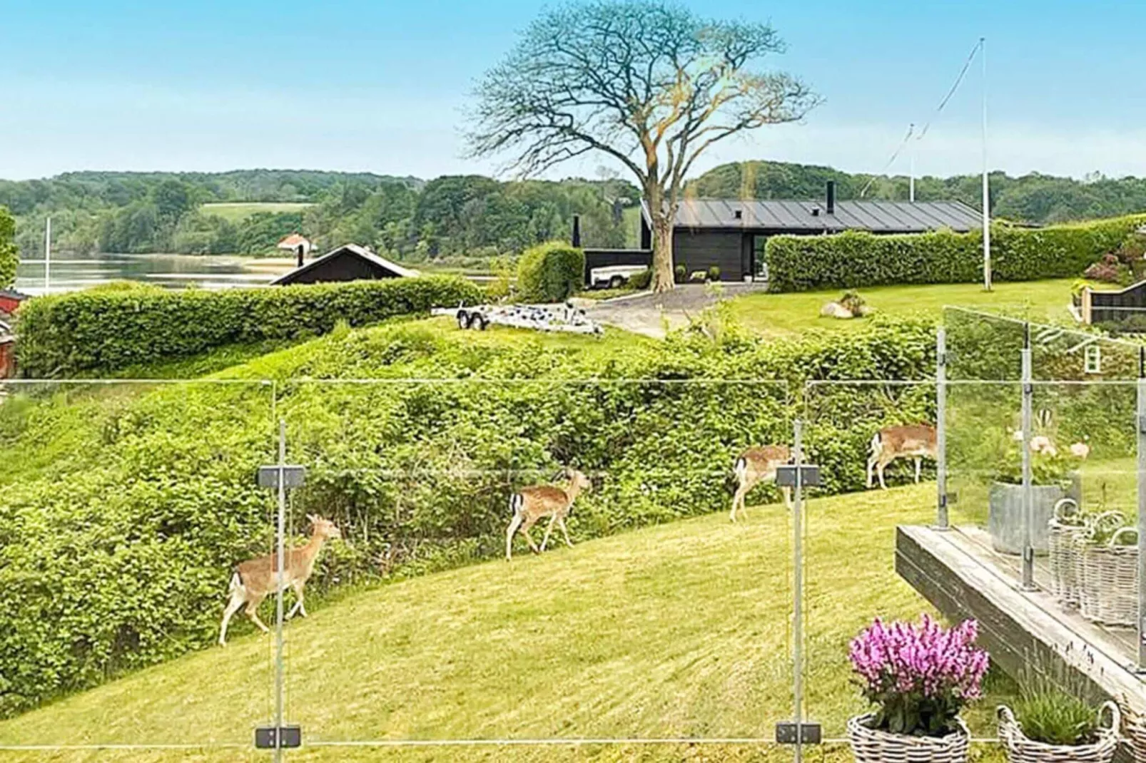 5 etoiles maison de vacances a Kolding-Extérieur