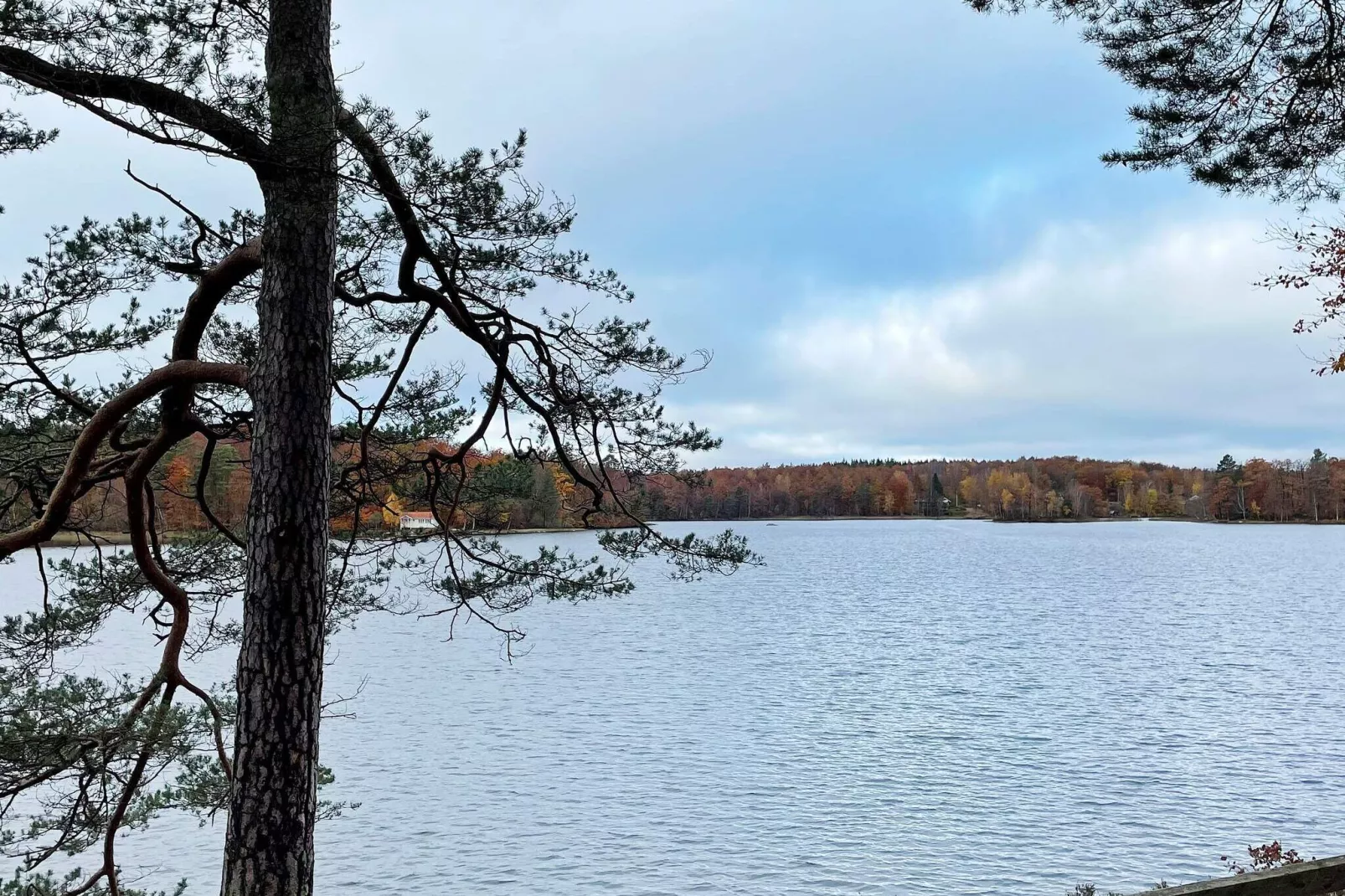 4 star holiday home in Olofström-By Traum-Outdoor