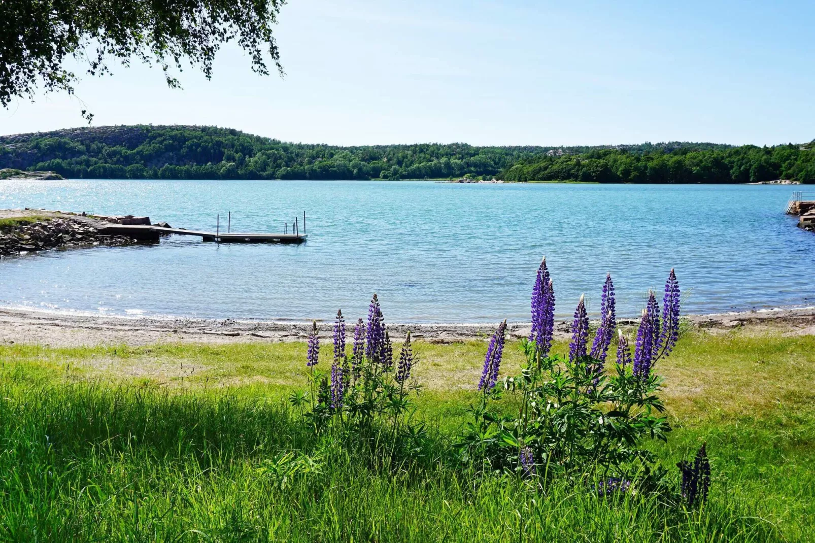 5 star holiday home in LYSEKIL-Not tagged