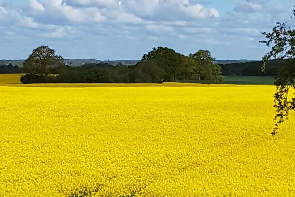 78305-View