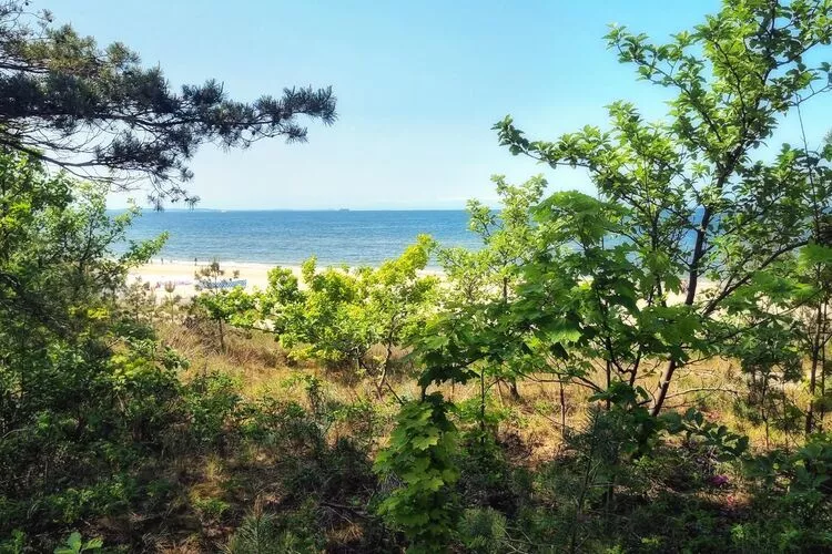 Apartament na 1 piętrze-Areas summer 1km